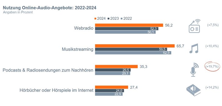 Grafik: Online-Audio-Monitor 2024