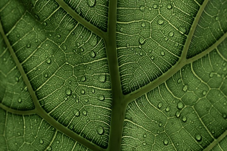 Bild: Clay Banks – Unsplash Bild: Clay Banks – Unsplash